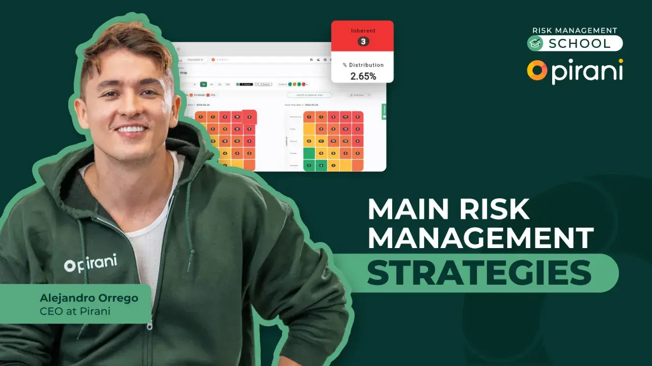 Main risk management strategies